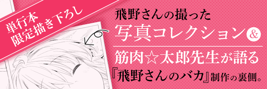 見どころ画像