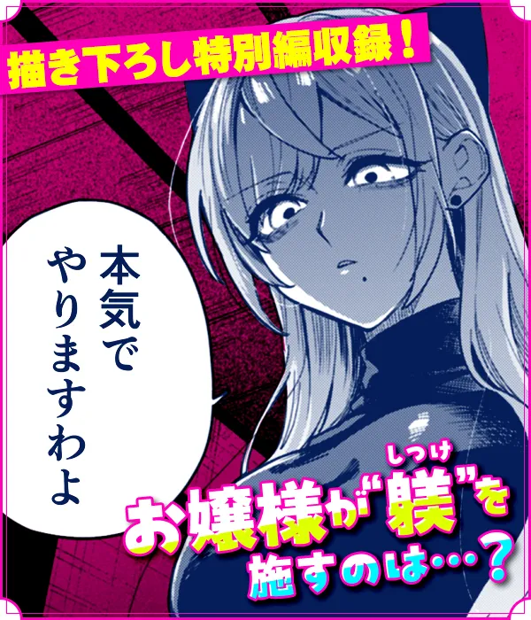 見どころ画像